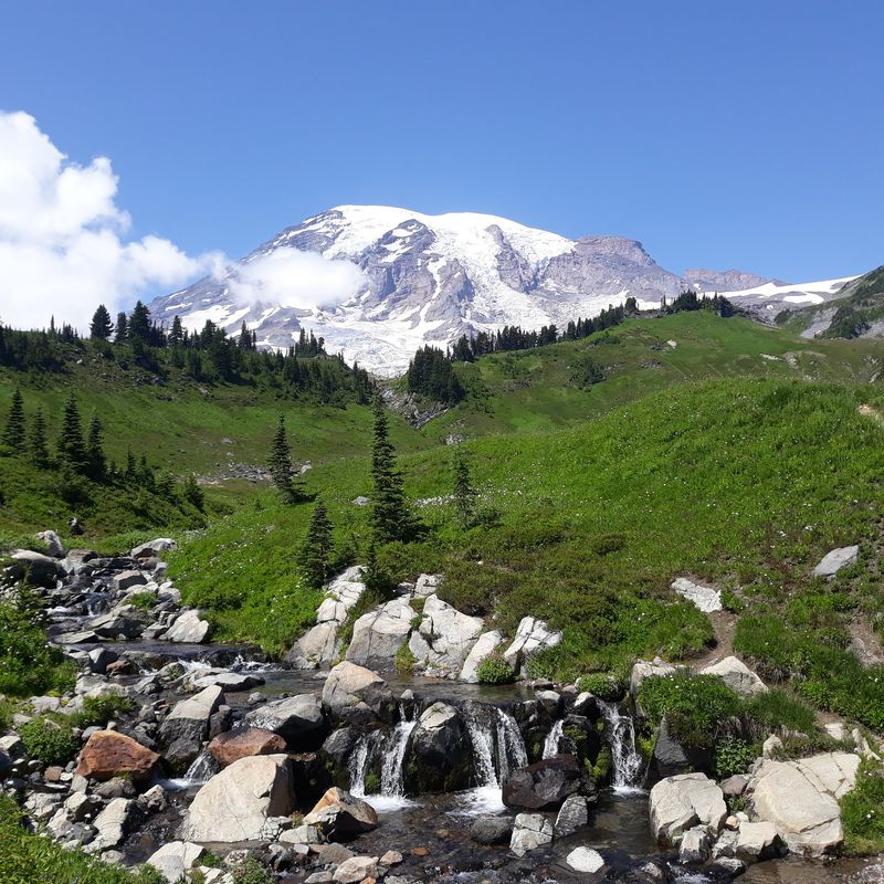 Mount Rainier High Country (WA)