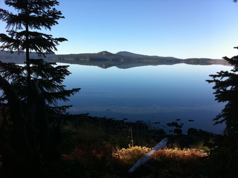 A Journey of Discovery