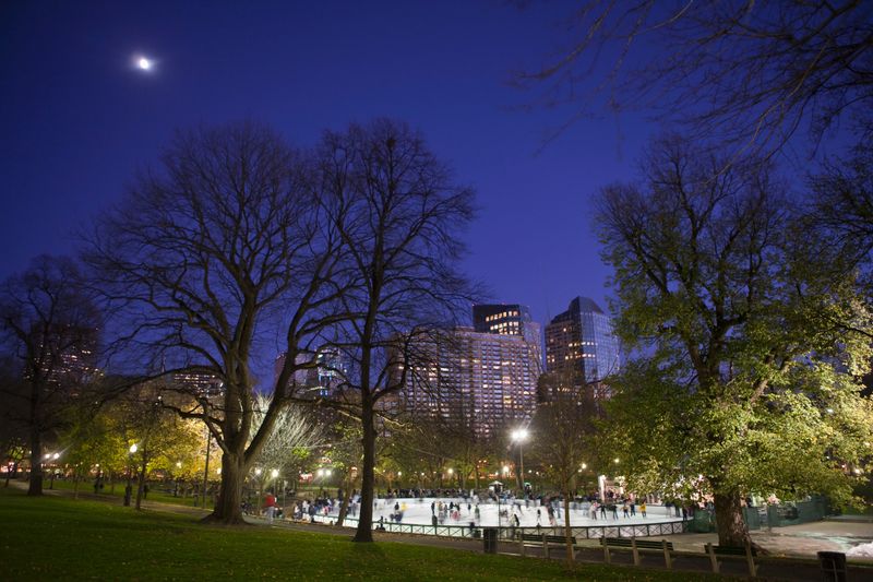 Boston Common Frog Pond (Downtown)