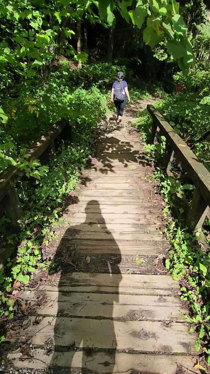 Nakasendo Trail Natural Sections — Quiet Mountain Walks