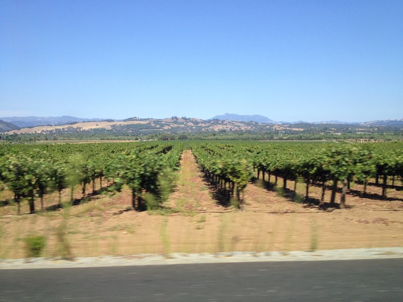 California Wine Country
