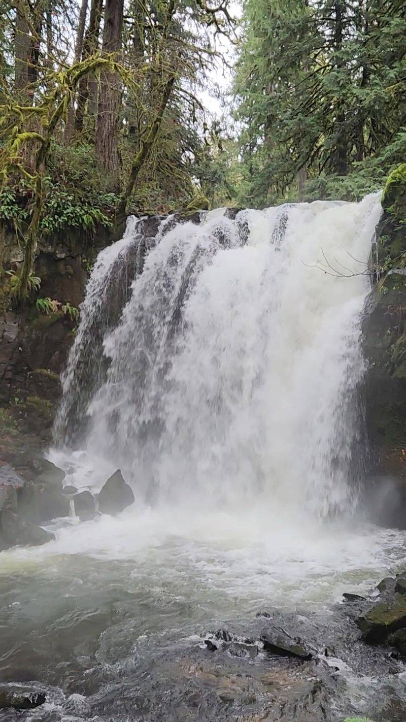 Leave No Trace Mindset