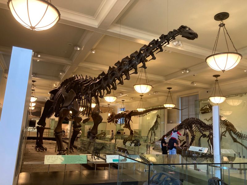 Museum of Science + Planetarium (Science Park)