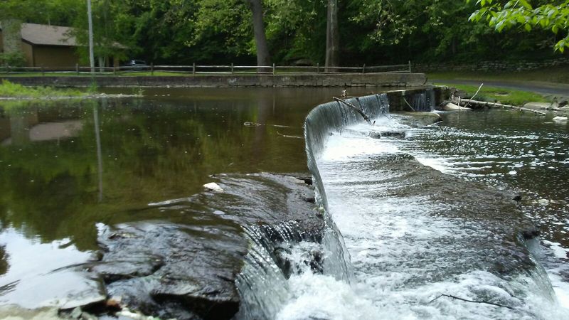 Scholl Recreation Area Picnic Pull Off