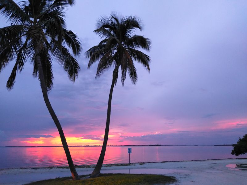 The Shell Museum Is One of a Kind