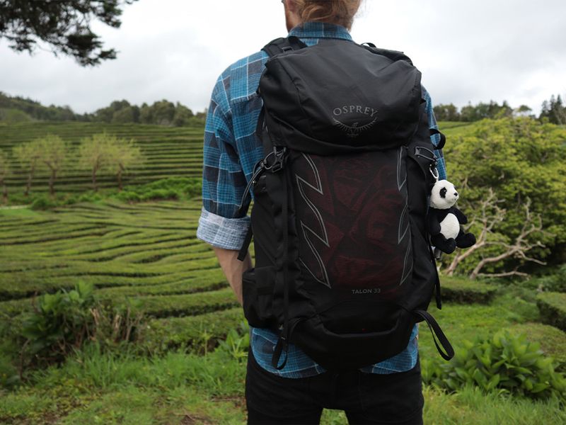 Osprey Talon 33