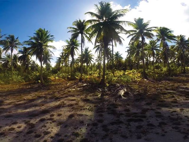Bikini Atoll, Marshall Islands