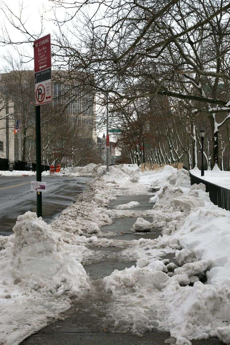 Bitter Cold and Widespread Freeze Effects