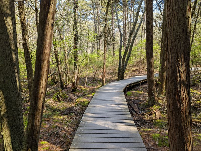 Close to Other Natural Gems