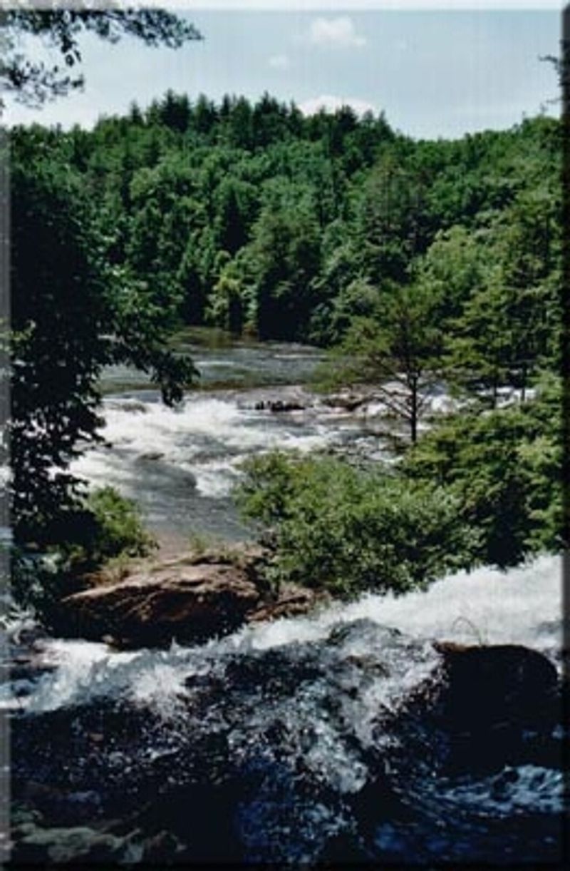 Chattooga River