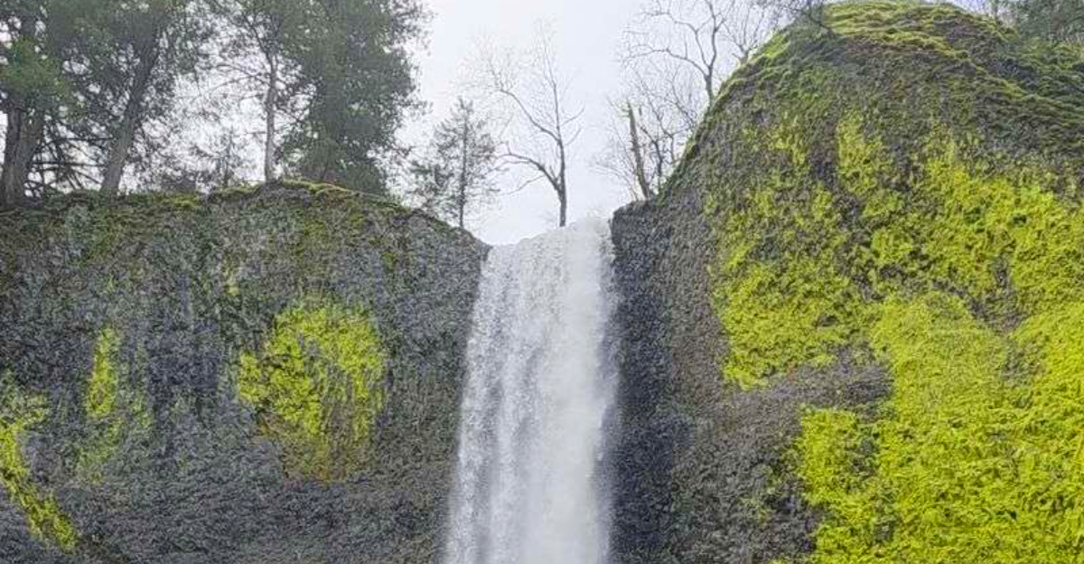 Oregon Spot Offers a Hiking Trail With Stunning Waterfall Views