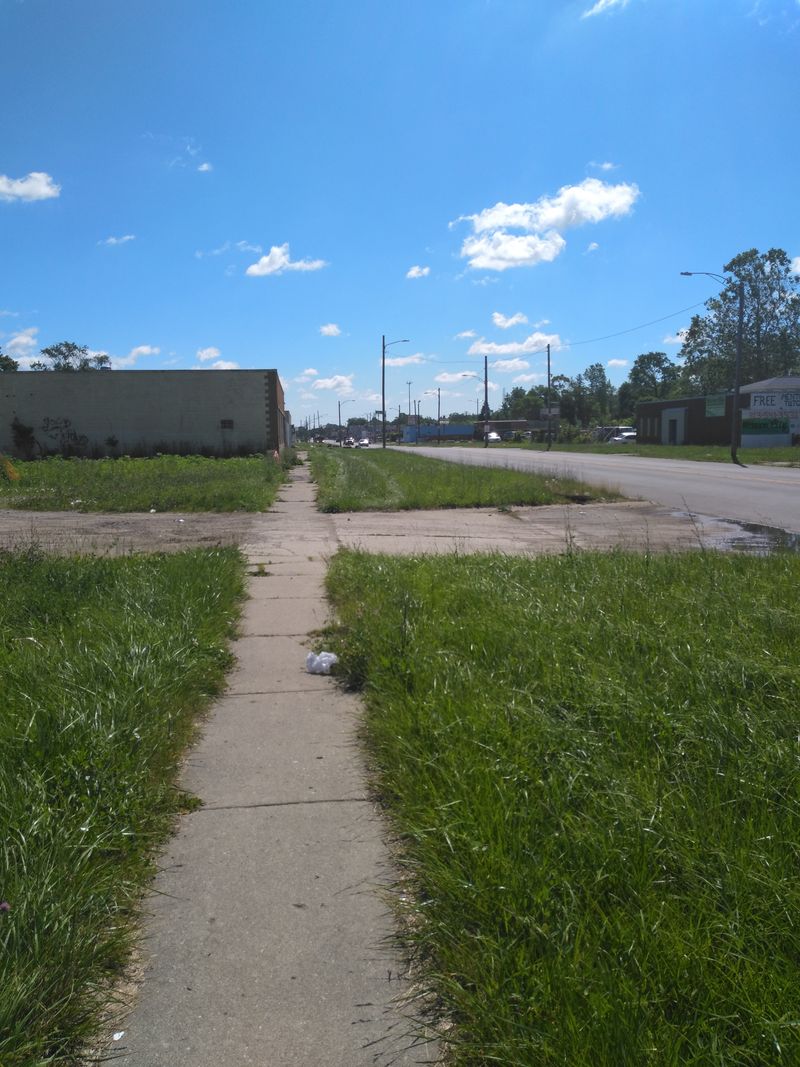 Detroit, MI — Brightmoor