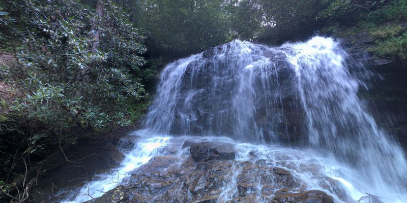 Hiking Trails Nearby