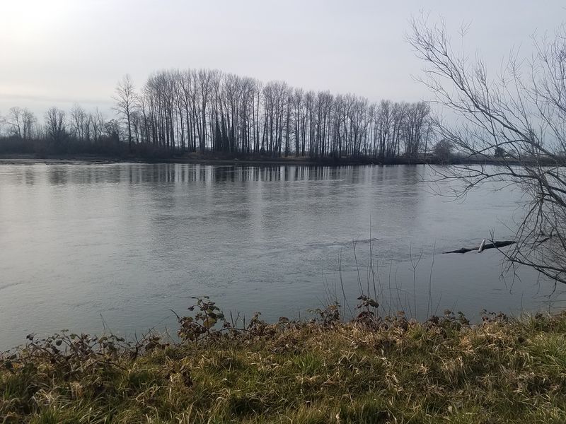 Atmospheric River Triggers Historic Flooding Across Pacific Northwest