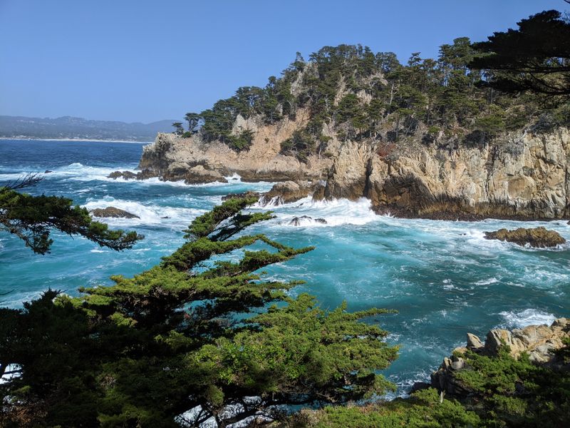 Point Lobos State Natural Reserve, California — coastal drama in a small footprint