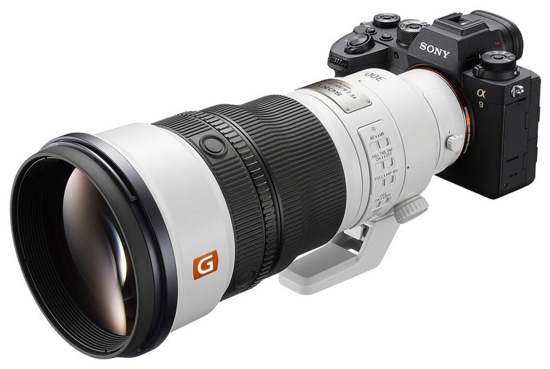 Sony FE 300mm F2.8 GM OSS