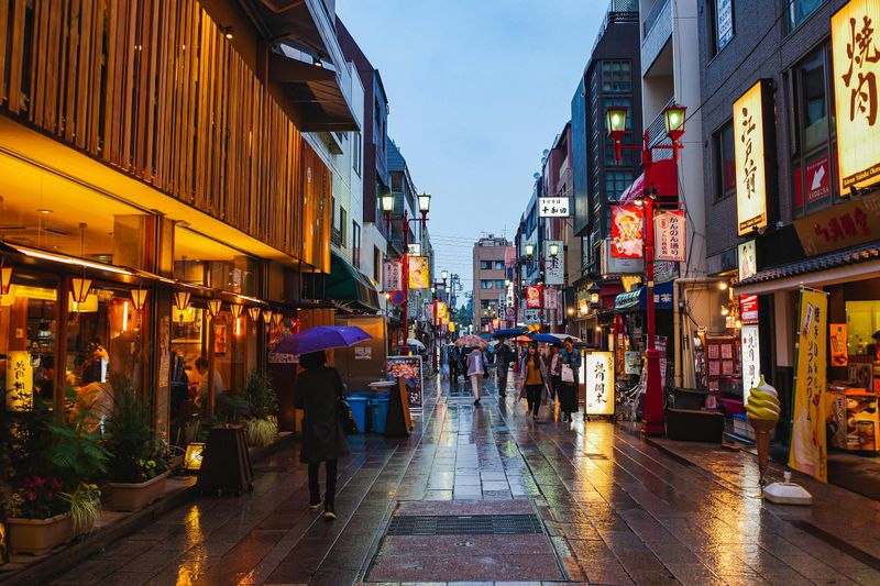 Tokyo, Japan — Efficient Transit & Walkable Districts