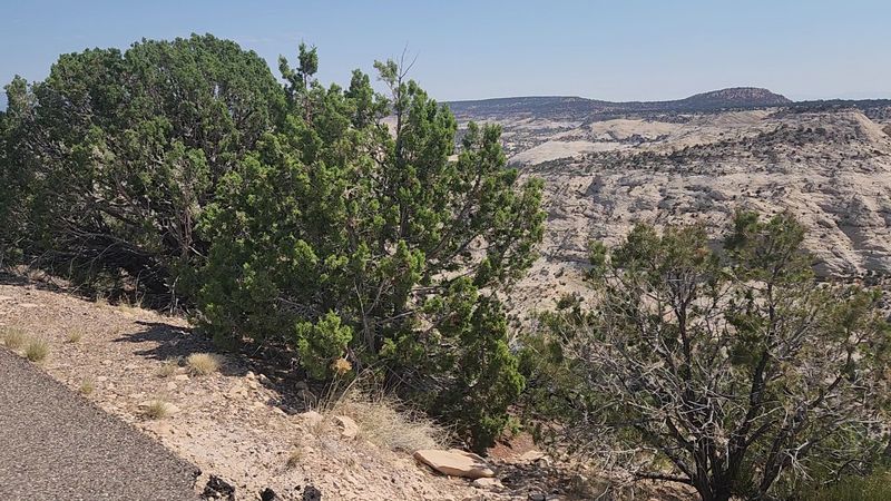 Southern Utah Plateaus (Grand Staircase - Escalante)