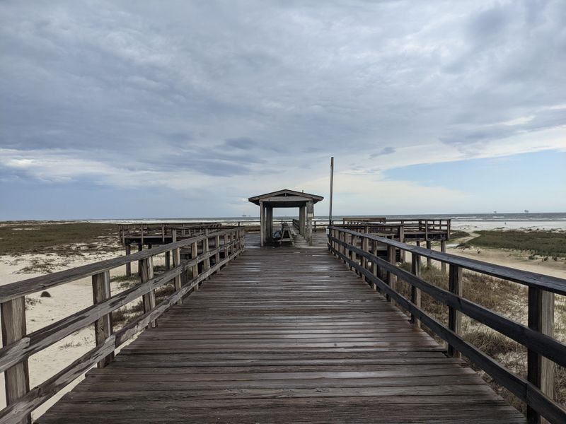 Dauphin Island, Alabama - A barrier-island escape with serious birding cred