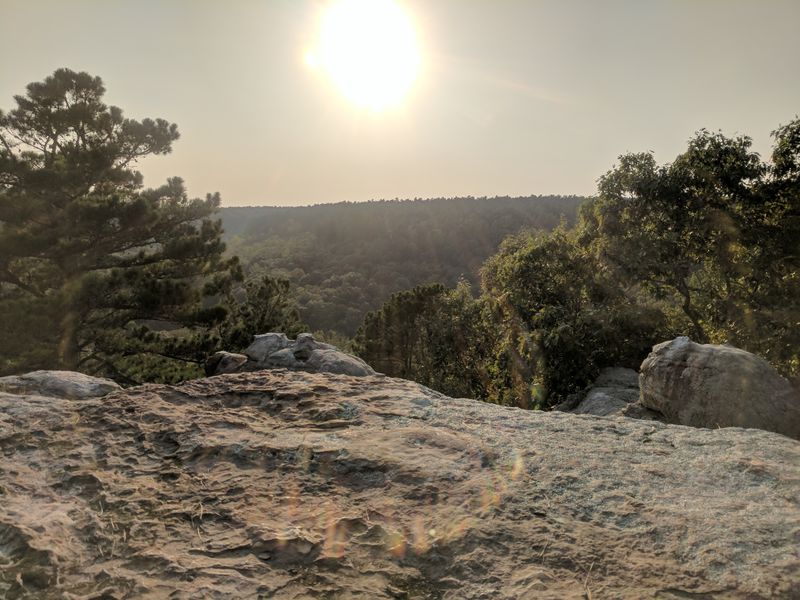 Nature Photography Workshops