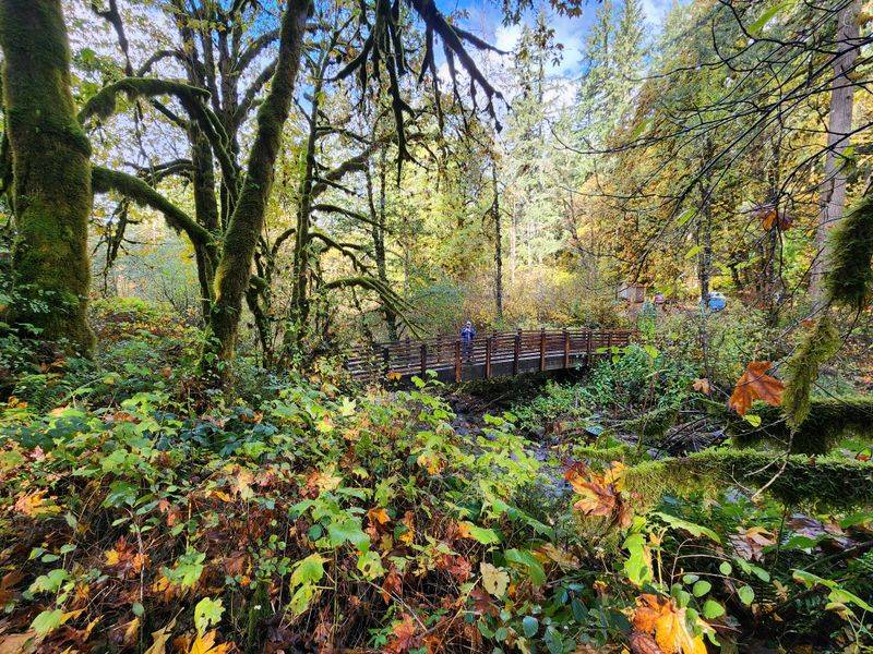 Family Friendly Planning