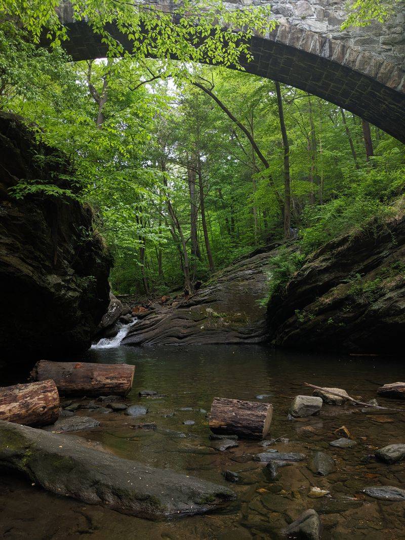 Escape the City in Wissahickon Valley Park