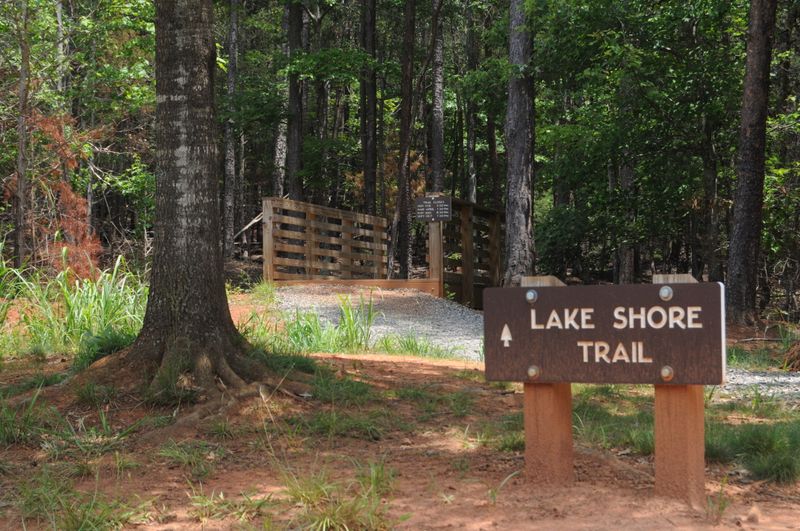 Ranger-Led Programs and Nature Education