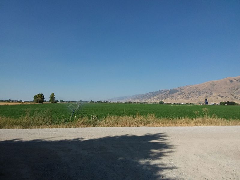 Fishing All Year Round