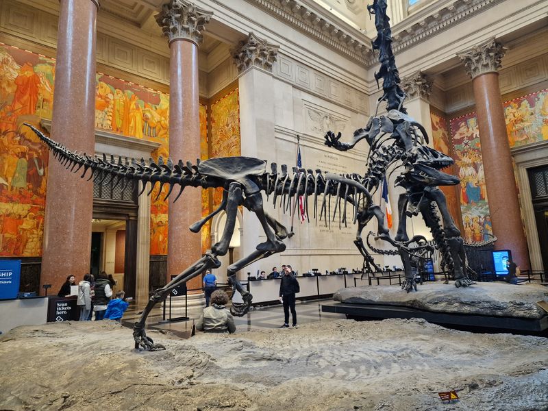 American Museum of Natural History — New York City, USA