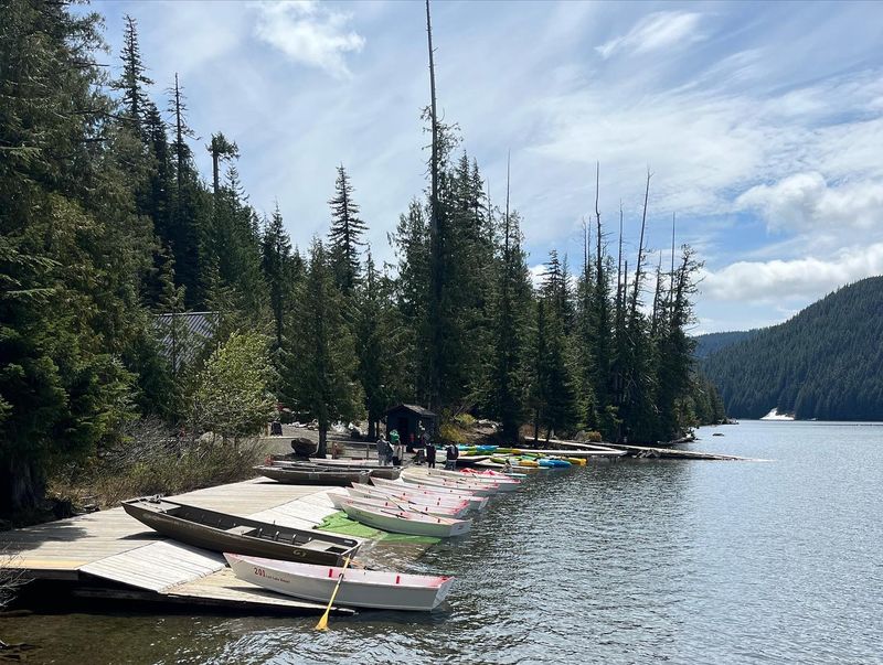 What You Will Remember