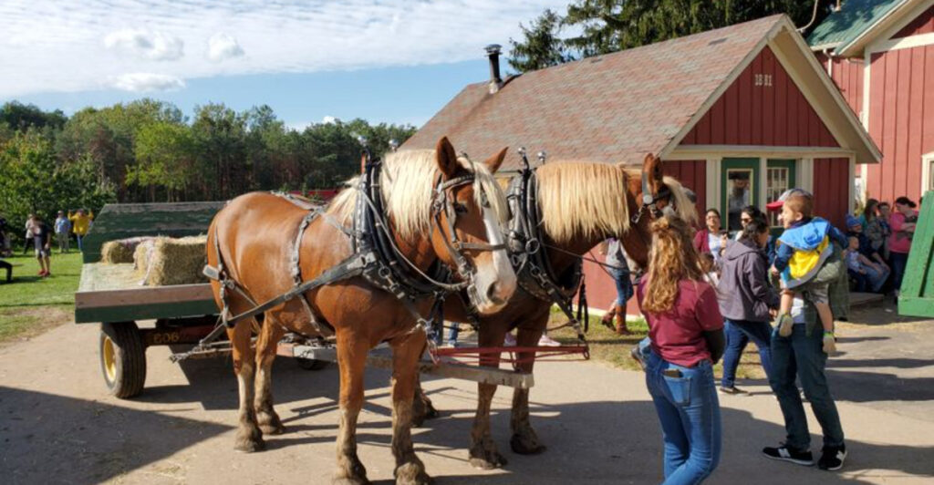 Planning a Grand Rapids Getaway? Don’t Miss These 12 Essential Stops
