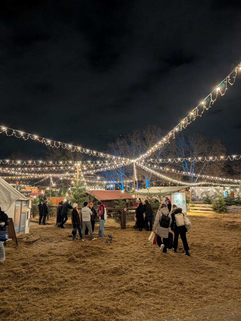 Vienna, Austria — Imperial Elegance & Christmas Markets