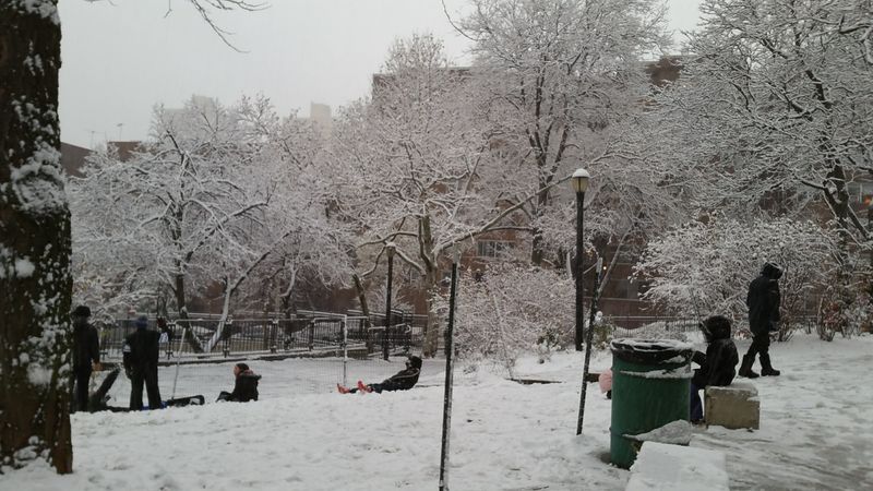 Cross‑country skiing & snowshoeing adventures