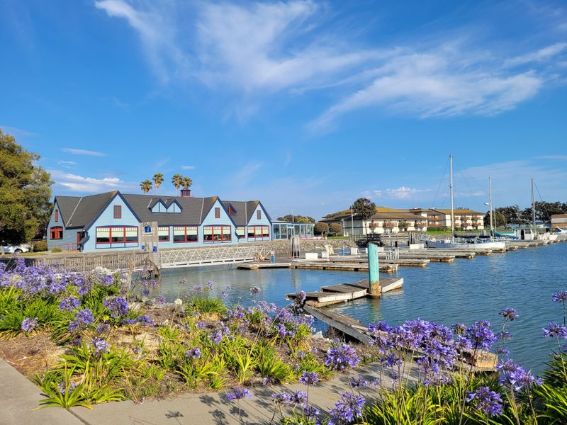 Marina Dog Park Social Hour