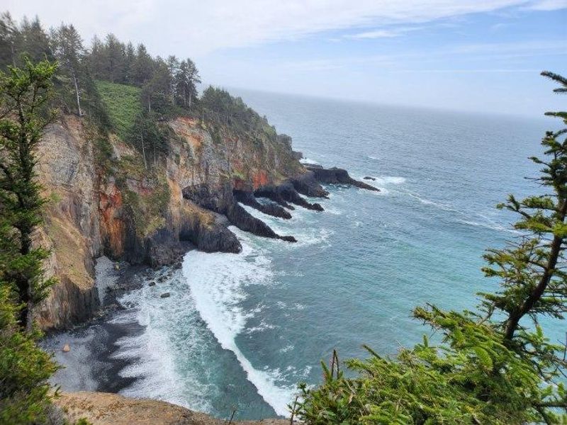 Cape Falcon Trail – Oswald West State Park, Oregon