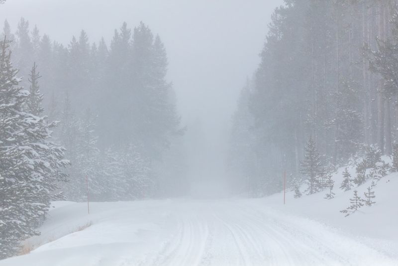Infrared steam effects and frost fog