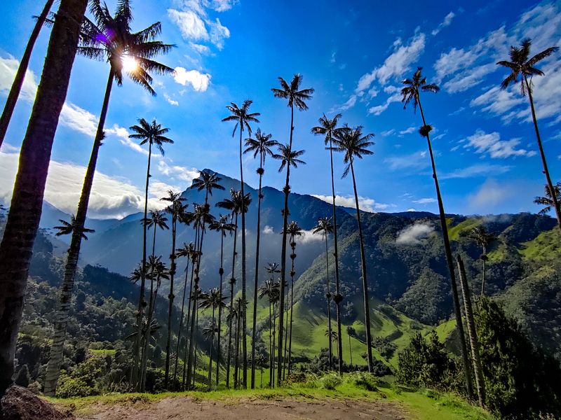 Salento & the Cocora Valley, Colombia