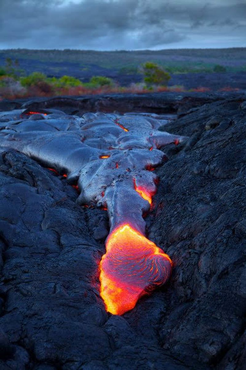 Packing For Sharp Young Rock