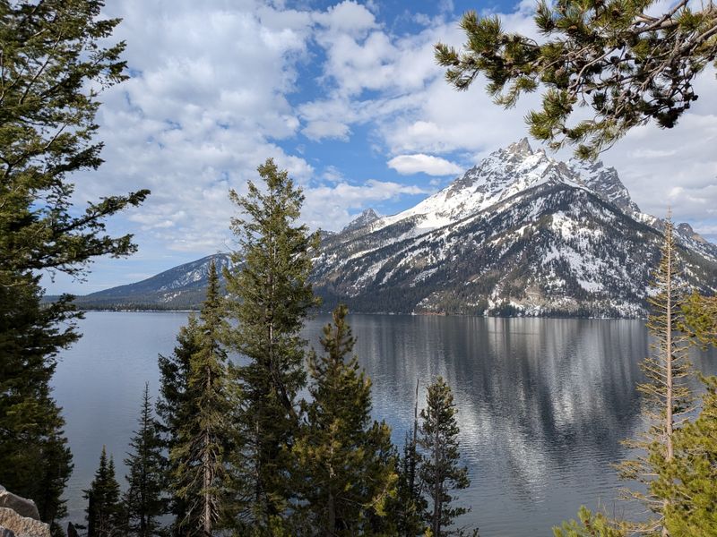 Jenny Lake Overlook Moments