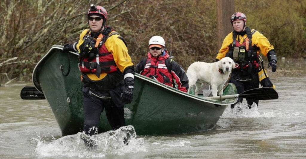 Record Rains, Rising Rivers: Western Washington Battles Historic Flooding and Evacuations