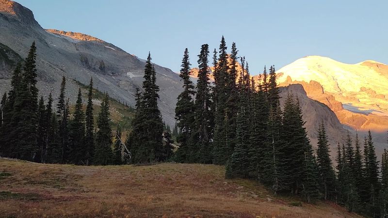 Glacier Vista Lookout