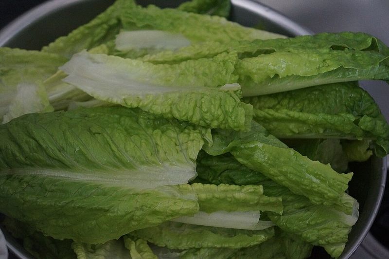 Revive Limp Lettuce In Ice Water