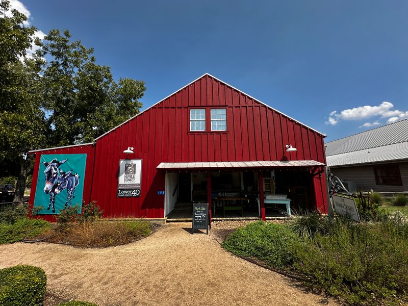 Humble Donkey Studio