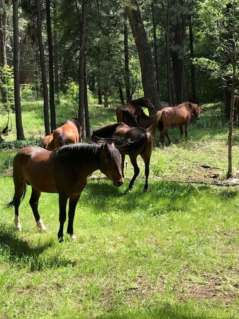 Outdoor Adventure Activities