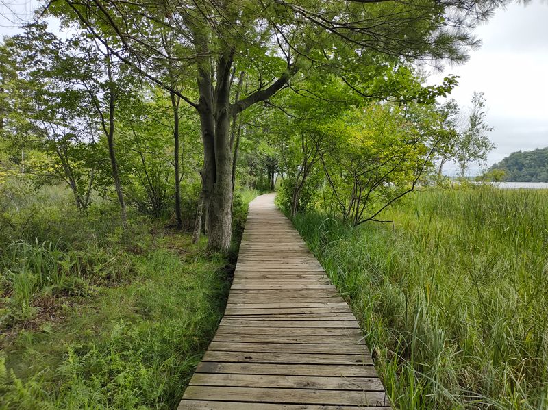 Nearby Amenities and Prep