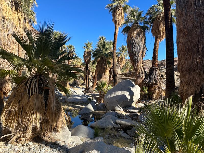 Palm Springs, California - Desert sun + pool culture (when you want it hot, not humid)
