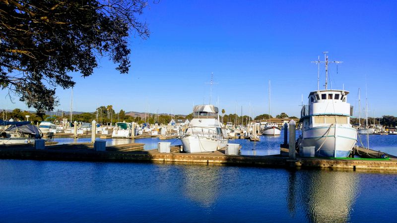 Local Breweries and Taprooms