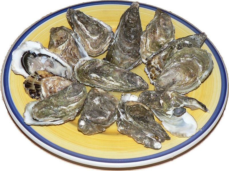 Raw Oysters