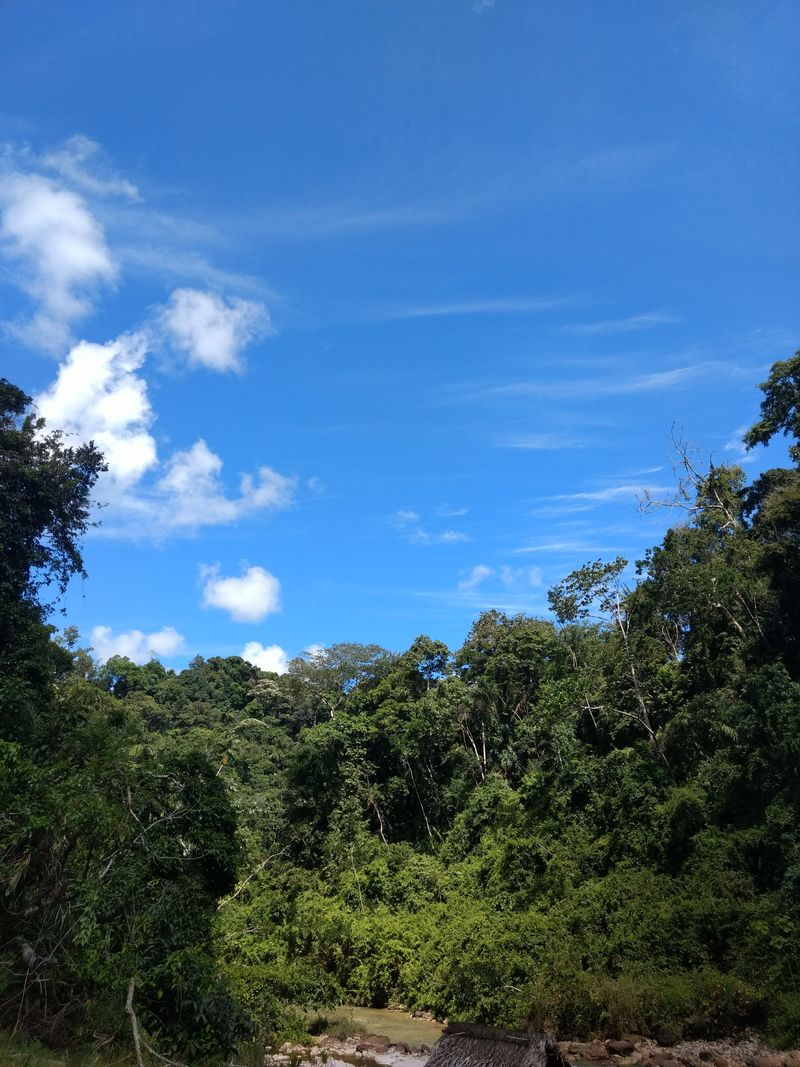 Its Slopes Support Unique Plant and Animal Life