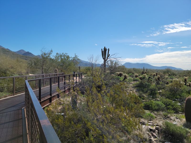 Desert Sunrise Hikes: Post-Party Peace